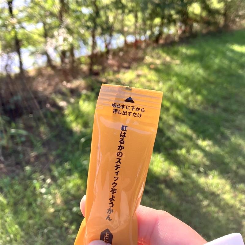 【みのおキューズモール】手軽においしく。紅はるかのスティック芋ようかん_WBVuf5