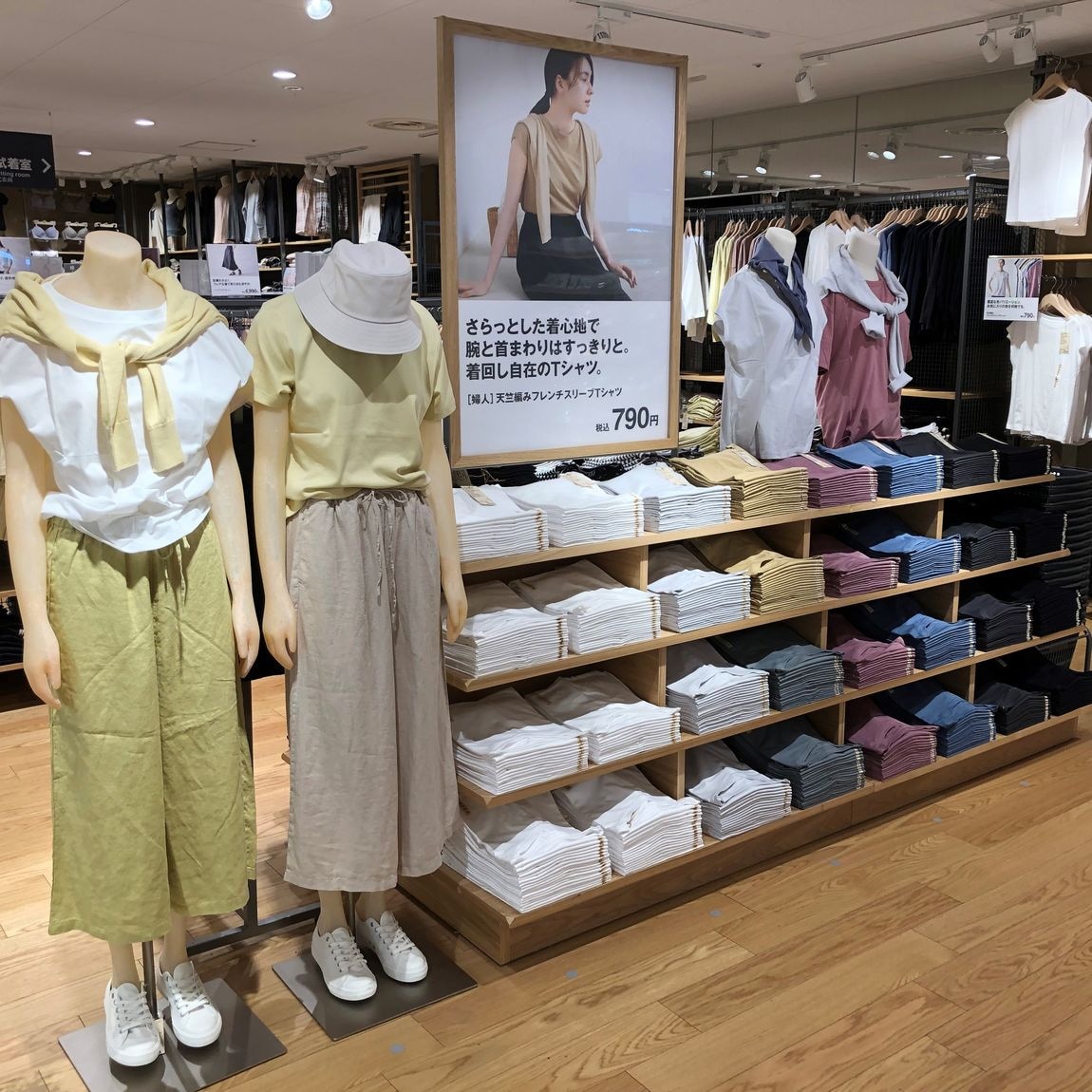 天竺編みフレンチスリーブTシャツが店頭に陳列されている写真