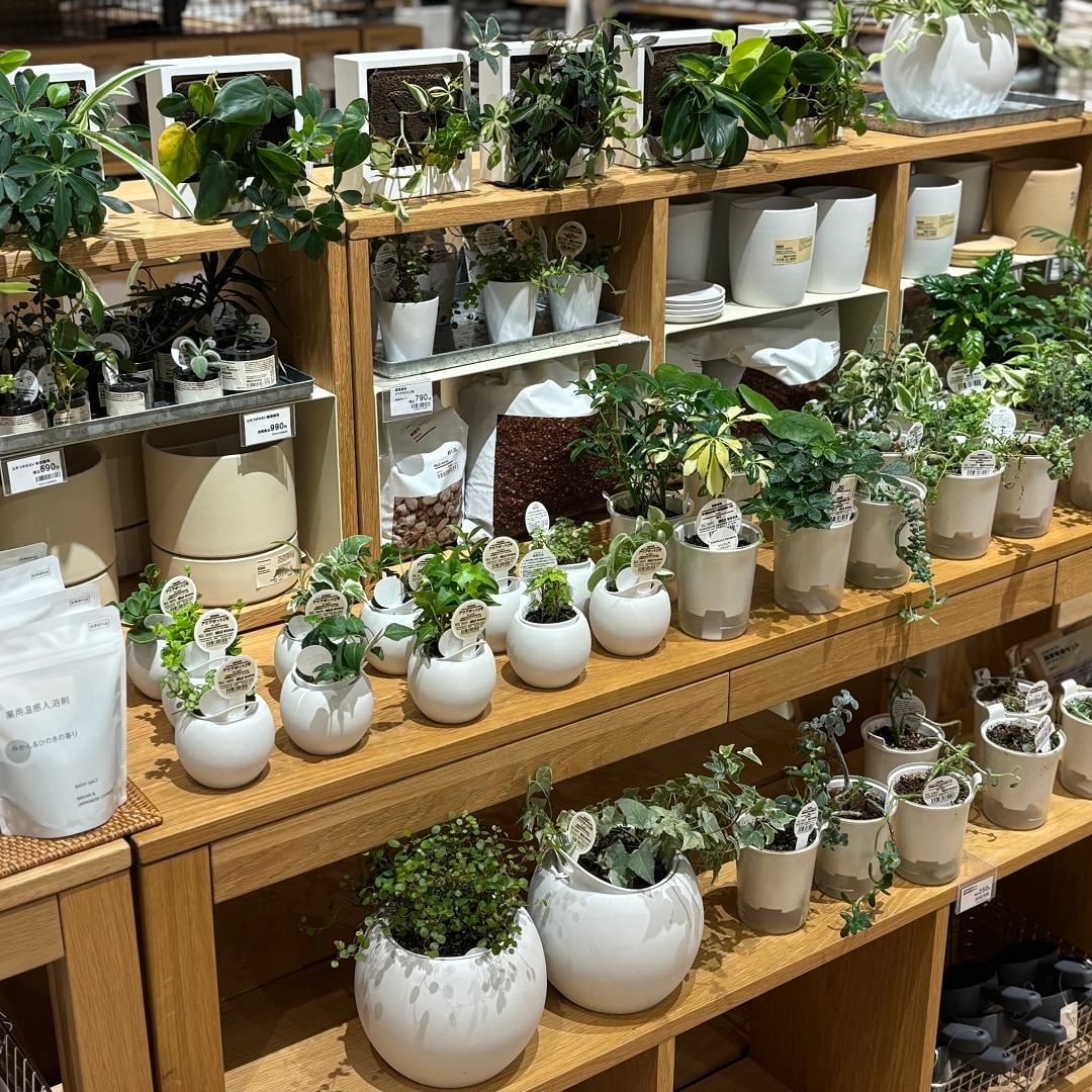 【イオン清水】無印良品週間がはじまりました！│無印良品週間に買いたいおすすめアイテム│