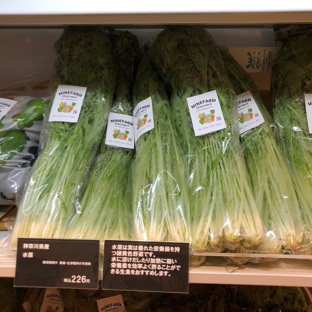 水菜