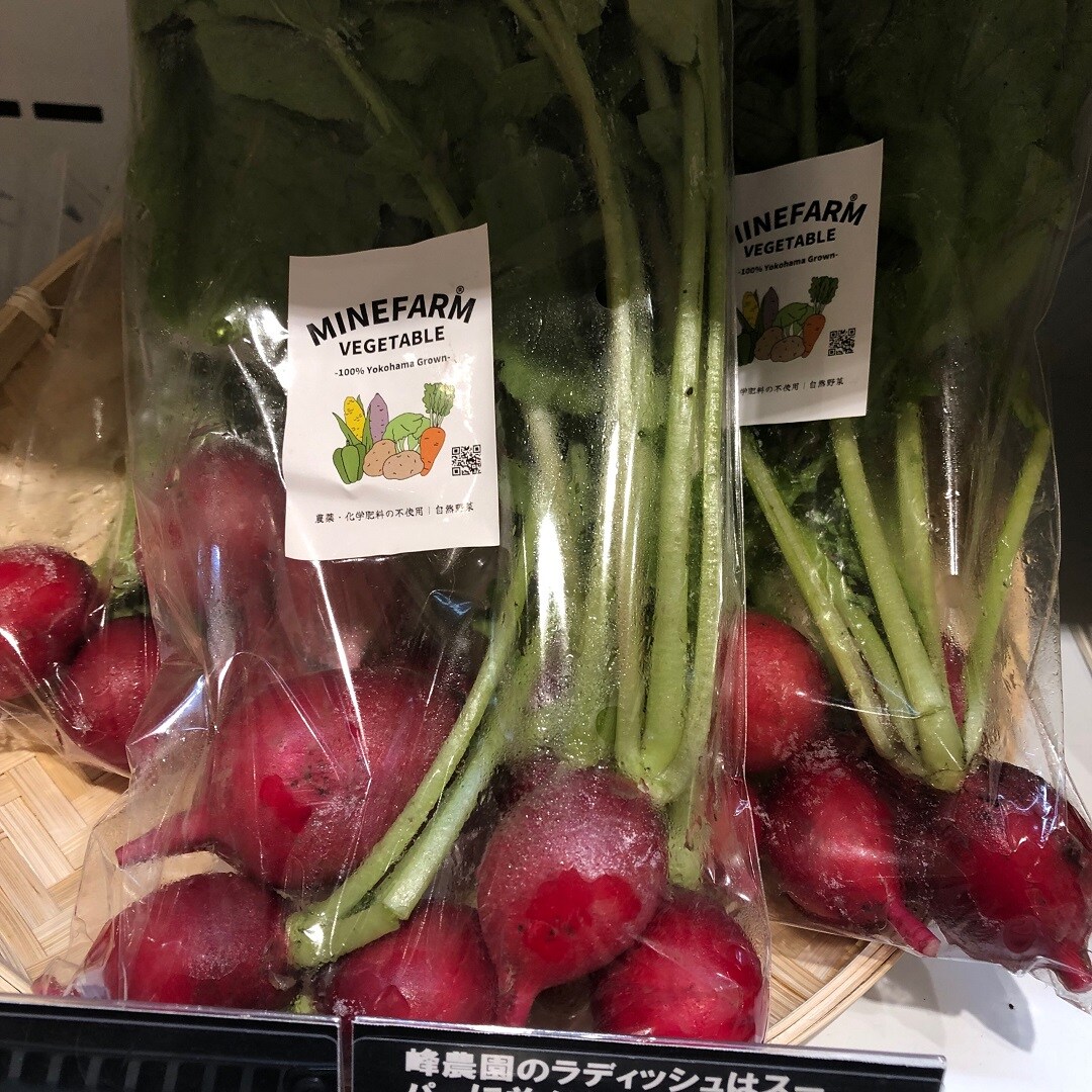 ラディッシュ
