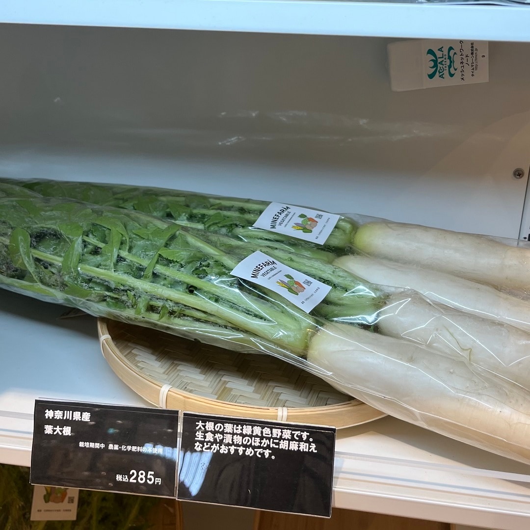 葉大根