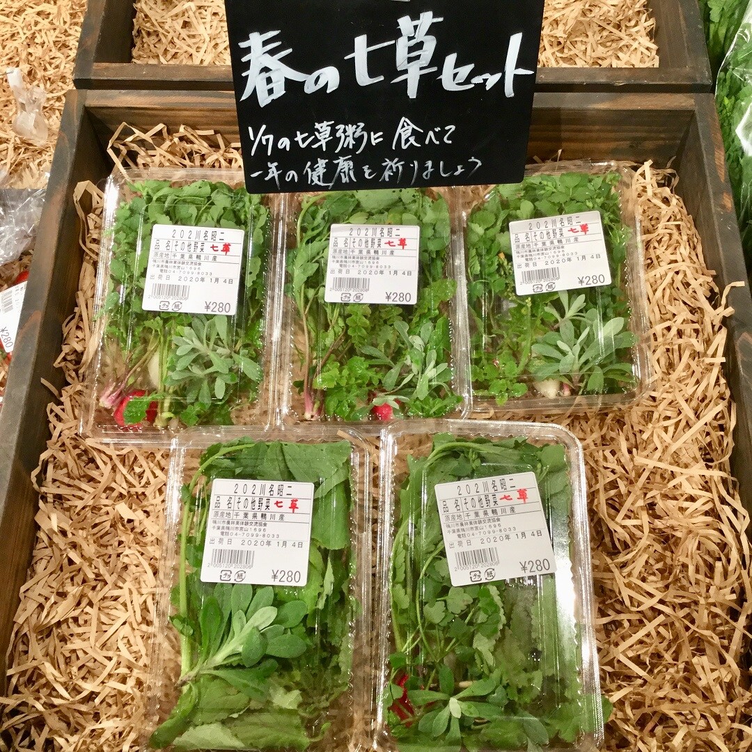 【みんなみの里】春の七草
