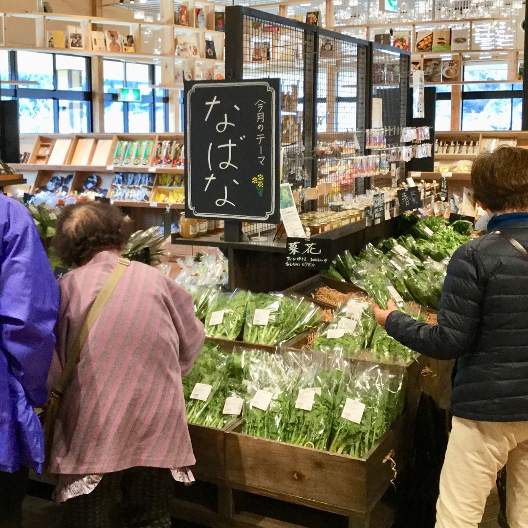 【みんなみの里】収穫市菜花