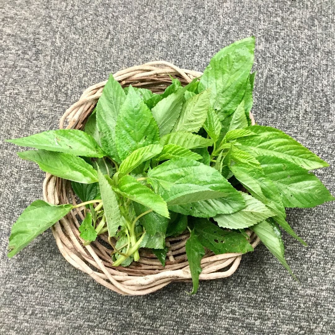 みんなみの里 ネバネバ夏野菜で夏をのりきりましょう 無印良品