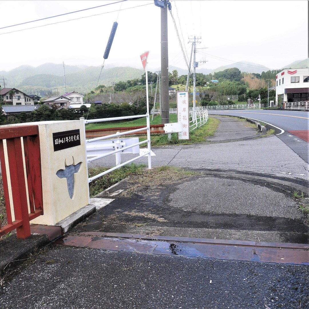 【みんなみの里】彼岸花街道