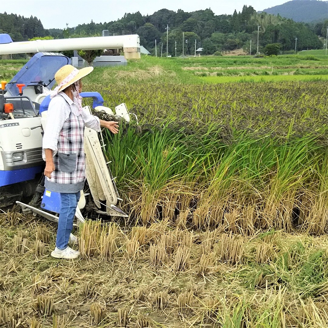 【みんなみの里】小山さん