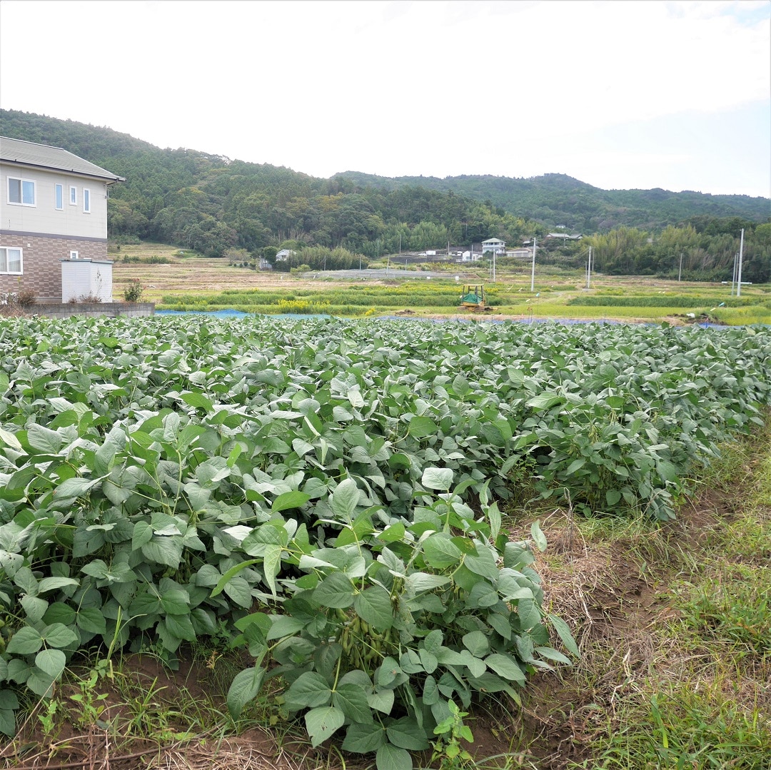 【みんなみの里】里山良人