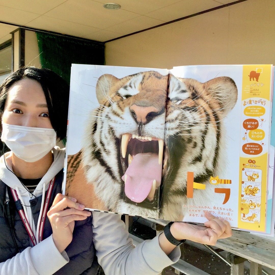 ほんとのおおきさ