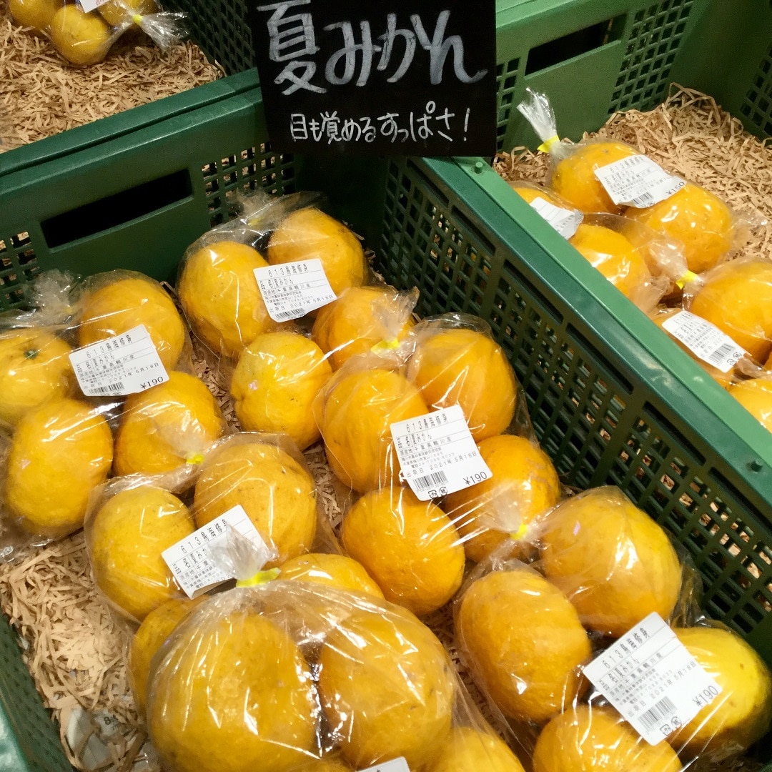 【みんなみの里】朝採れ