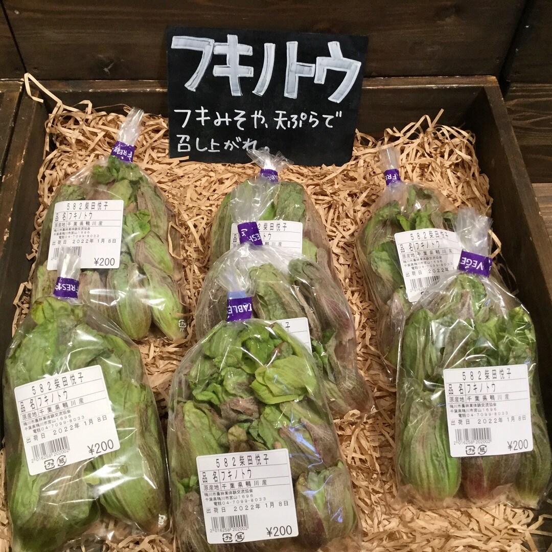 【みんなみの里】朝採れ