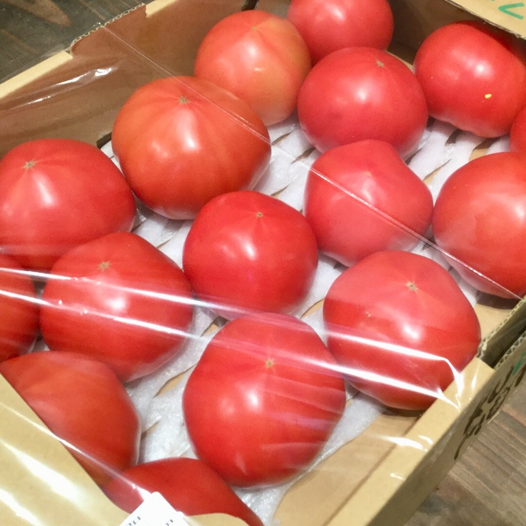 【みんなみの里】朝採れ