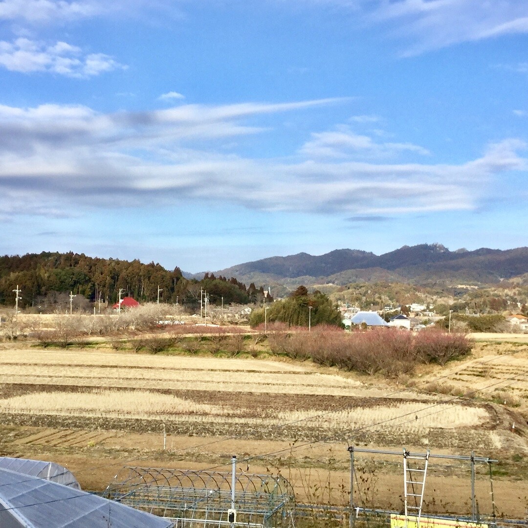 【みんなみの里】紅梅