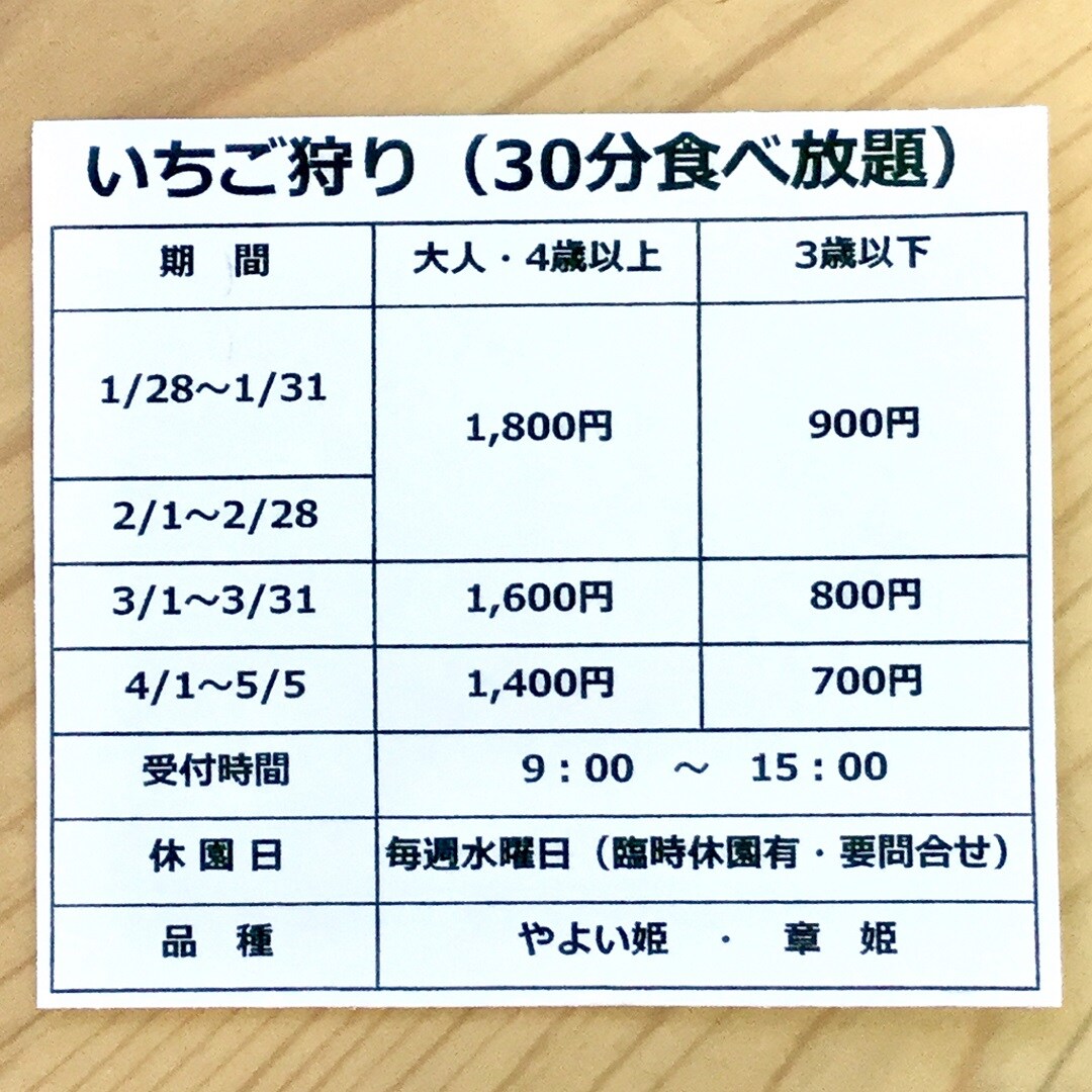 【みんなみの里】いちご狩り2023