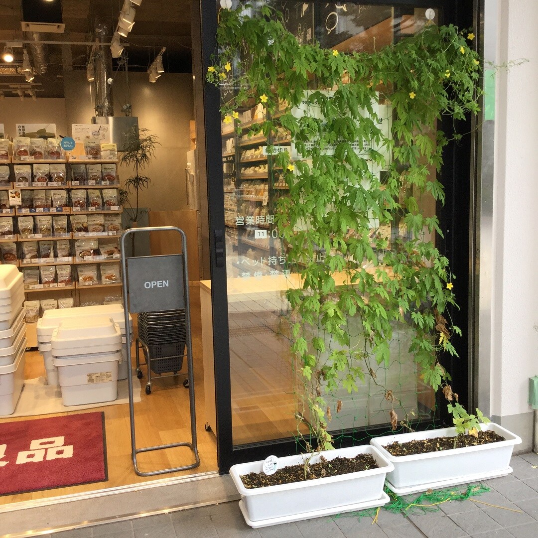 【MUJIcom光が丘ゆりの木商店街】ゆりの木便り｜ビタ男二世成長日記