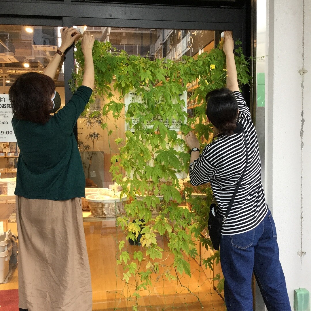 【MUJIcom光が丘ゆりの木商店街】ゆりの木便り｜ビタ男二世成長日記