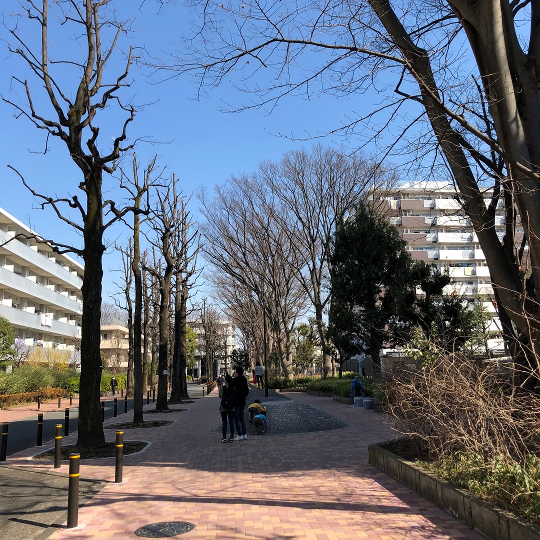 【MUJIcom光が丘ゆりの木商店街】ゆりの木便り｜ゆりの木探検隊