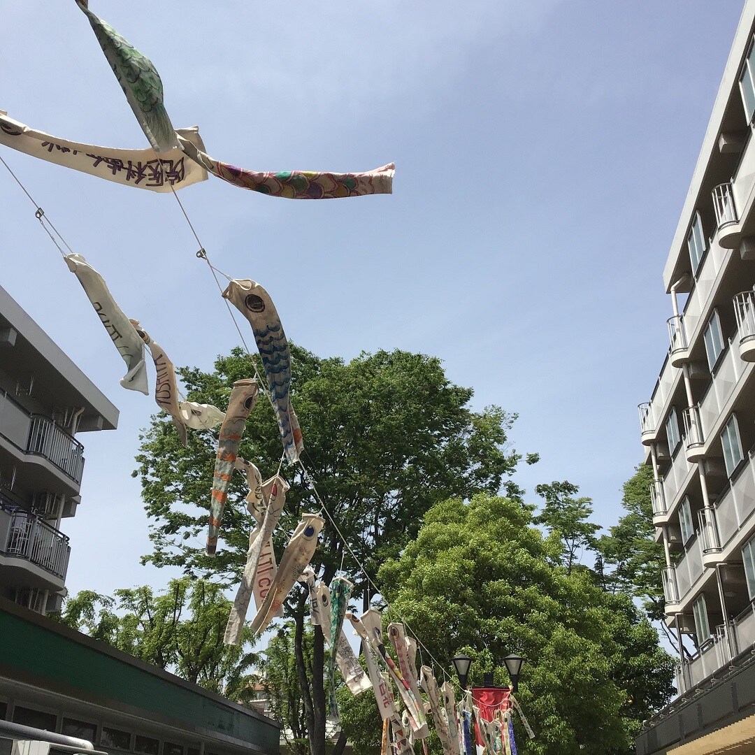 【MUJIcom光が丘ゆりの木商店街】ゆりの木便り｜鯉のぼり元気に泳いでいます
