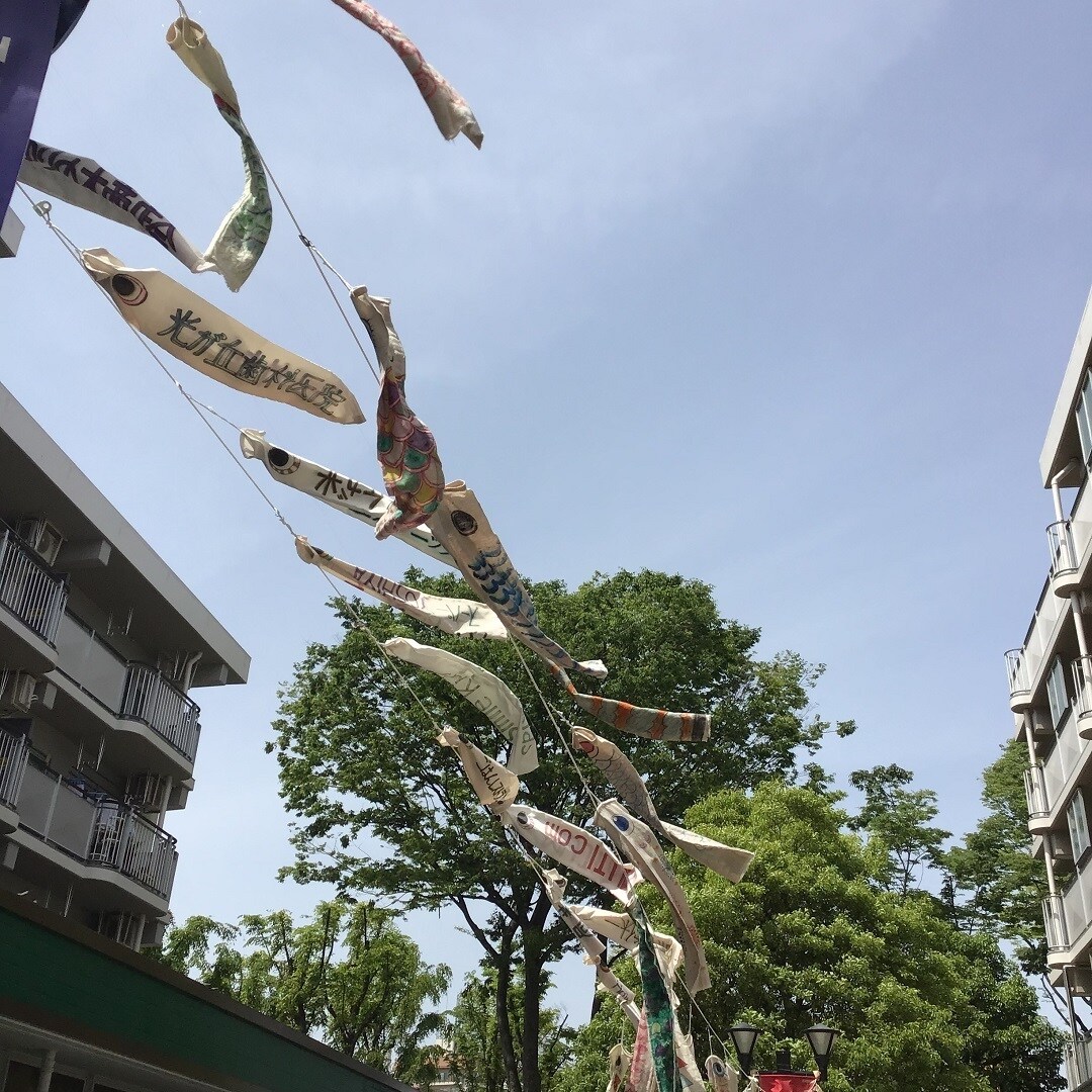 【MUJIcom光が丘ゆりの木商店街】鯉のぼり元気に泳いでいます