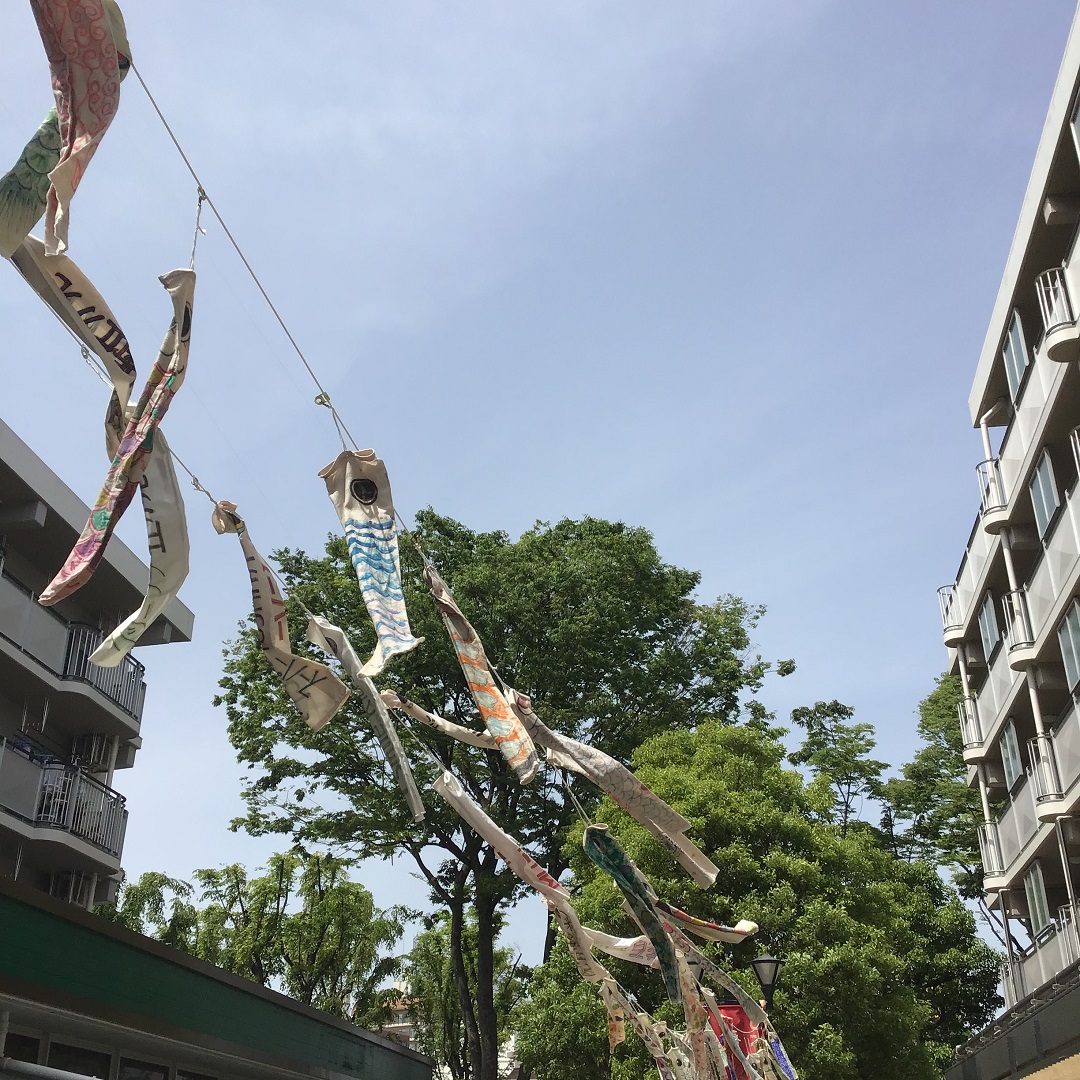 【MUJIcom光が丘ゆりの木商店街】ゆりの木便り｜鯉のぼり元気に泳いでいます