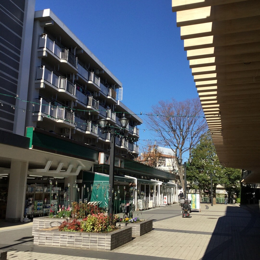 【MUJIcom 光が丘ゆりの木商店街】ゆりの木便り｜ゆりの木のクリスマス