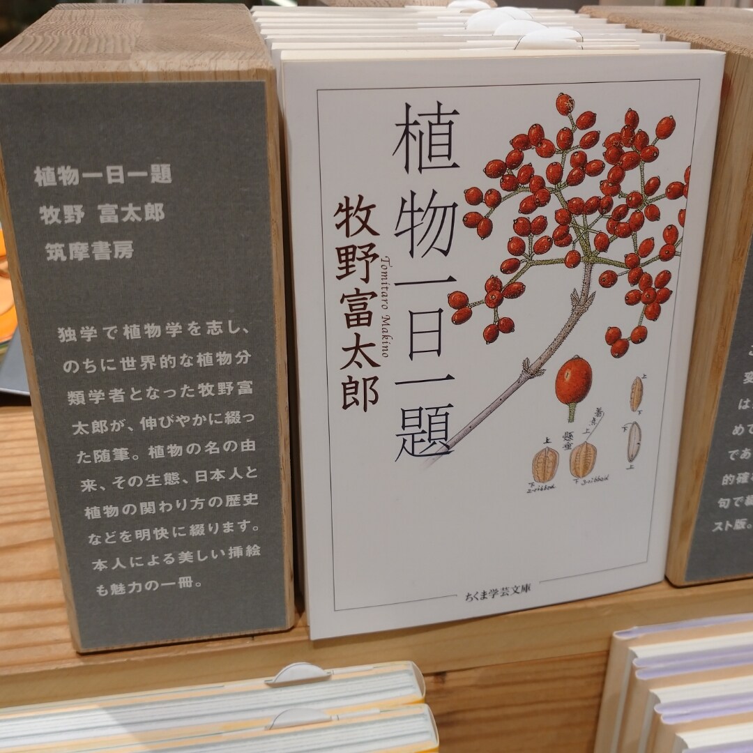 【銀座】BOOKS