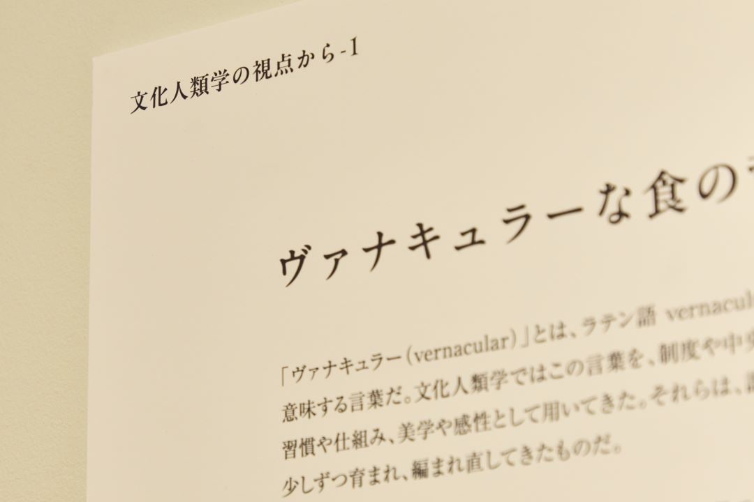 展示室内の様子
