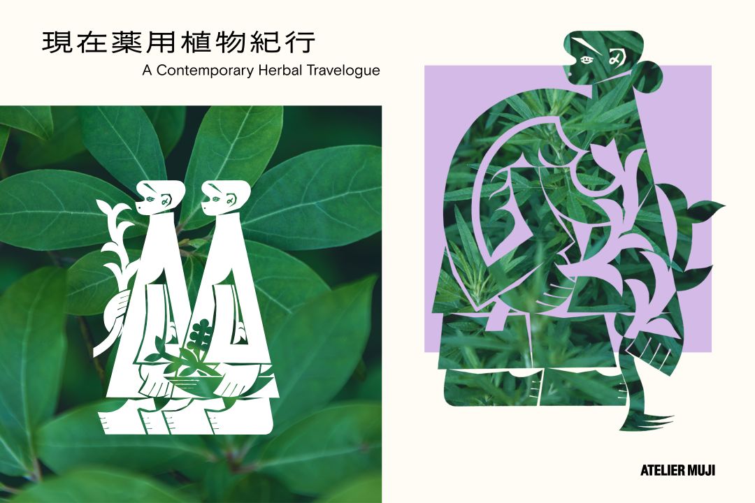 『現在薬用植物紀行』展メインビジュアル