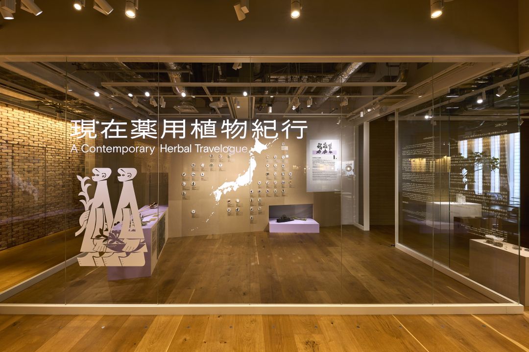 Gallery1全景