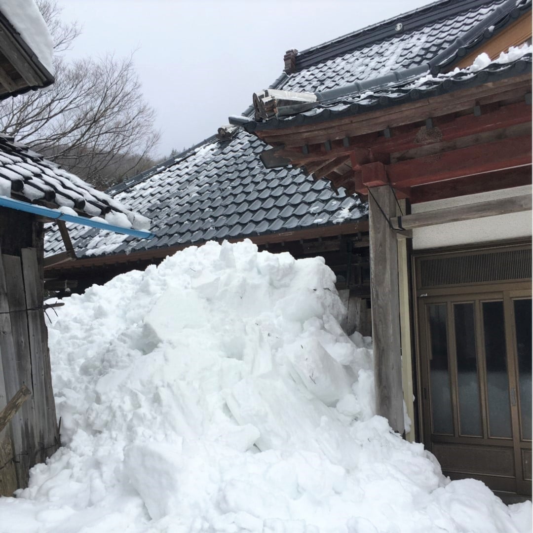 【銀座】里山ぐらしは刺激的｜くらしラボ酒田