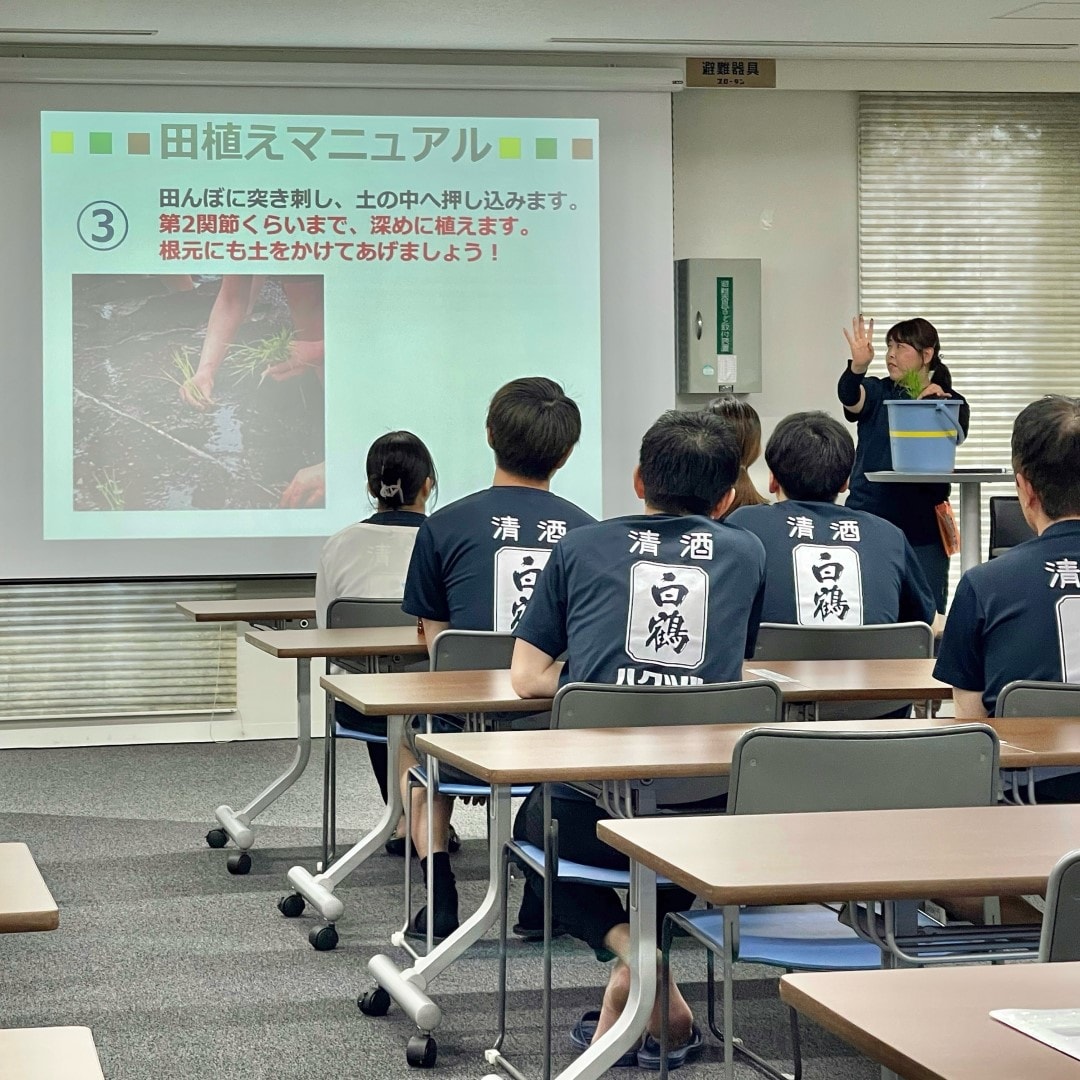 【銀座】銀座で田植え体験
