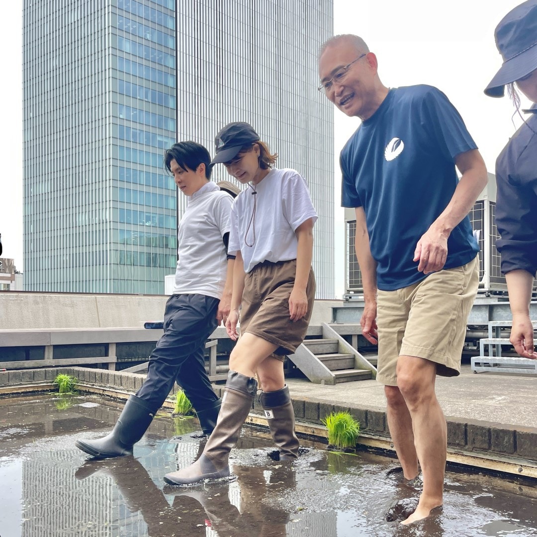【銀座】銀座で田植え体験