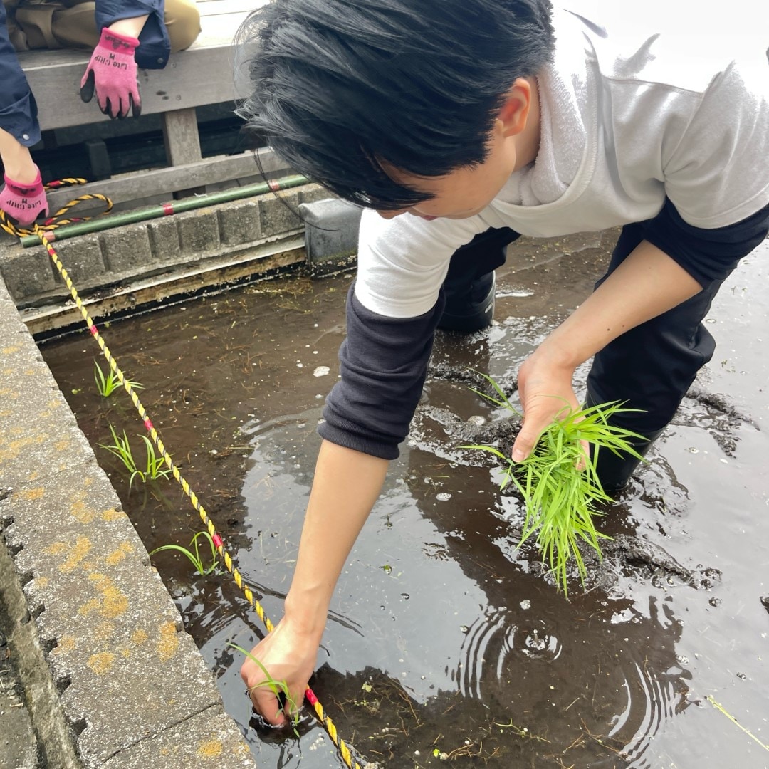 【銀座】銀座で田植え体験