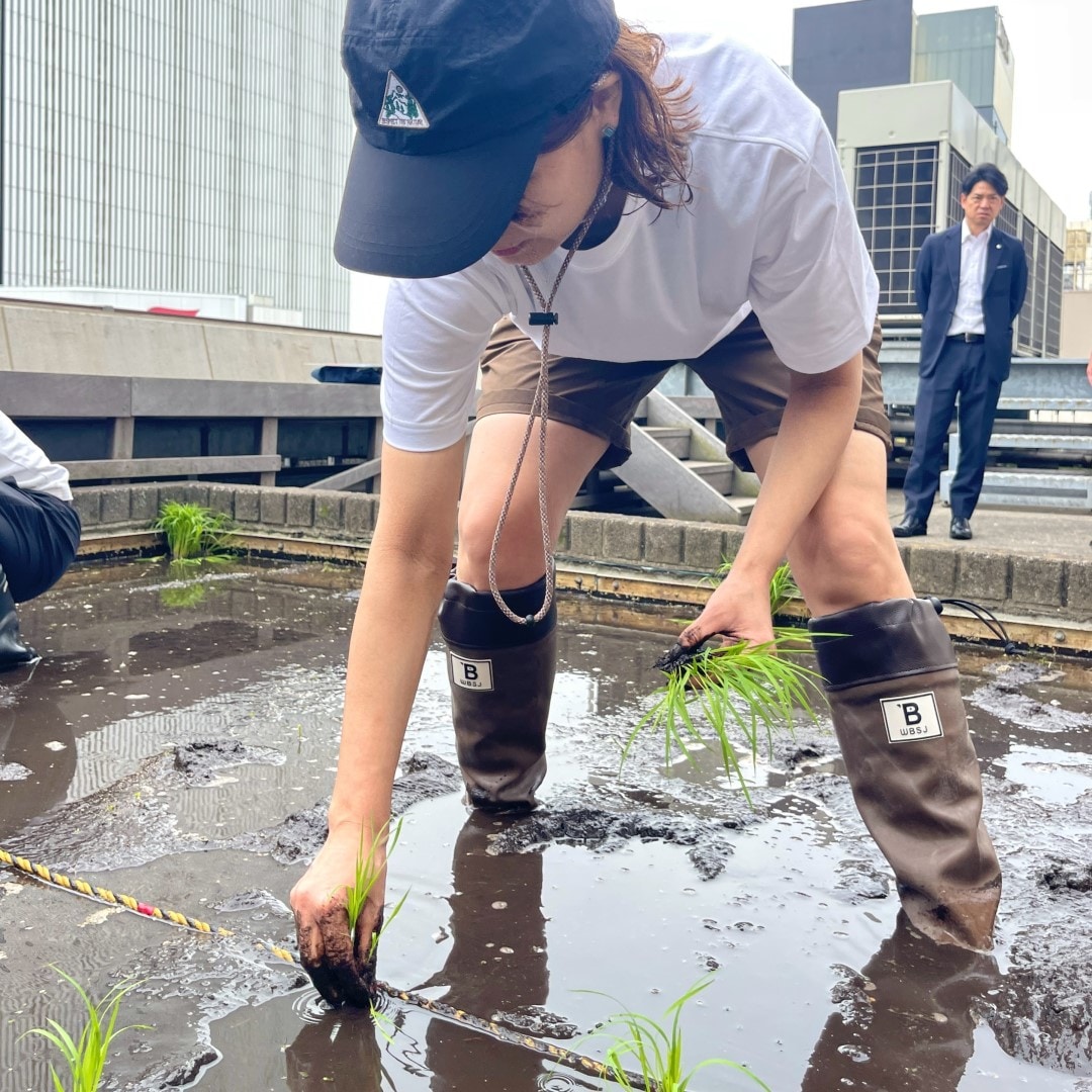 【銀座】銀座で田植え体験
