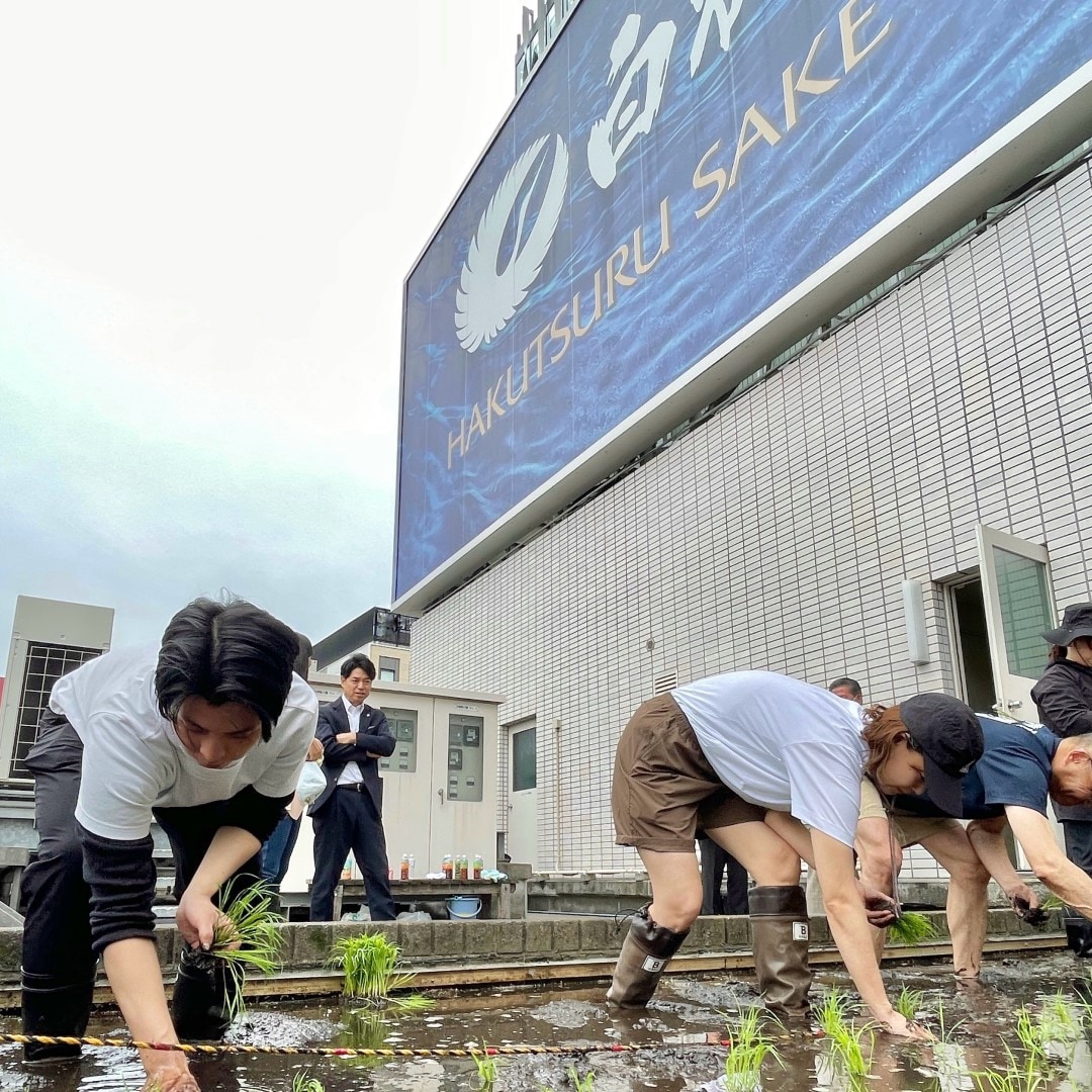 【銀座】銀座で田植え体験