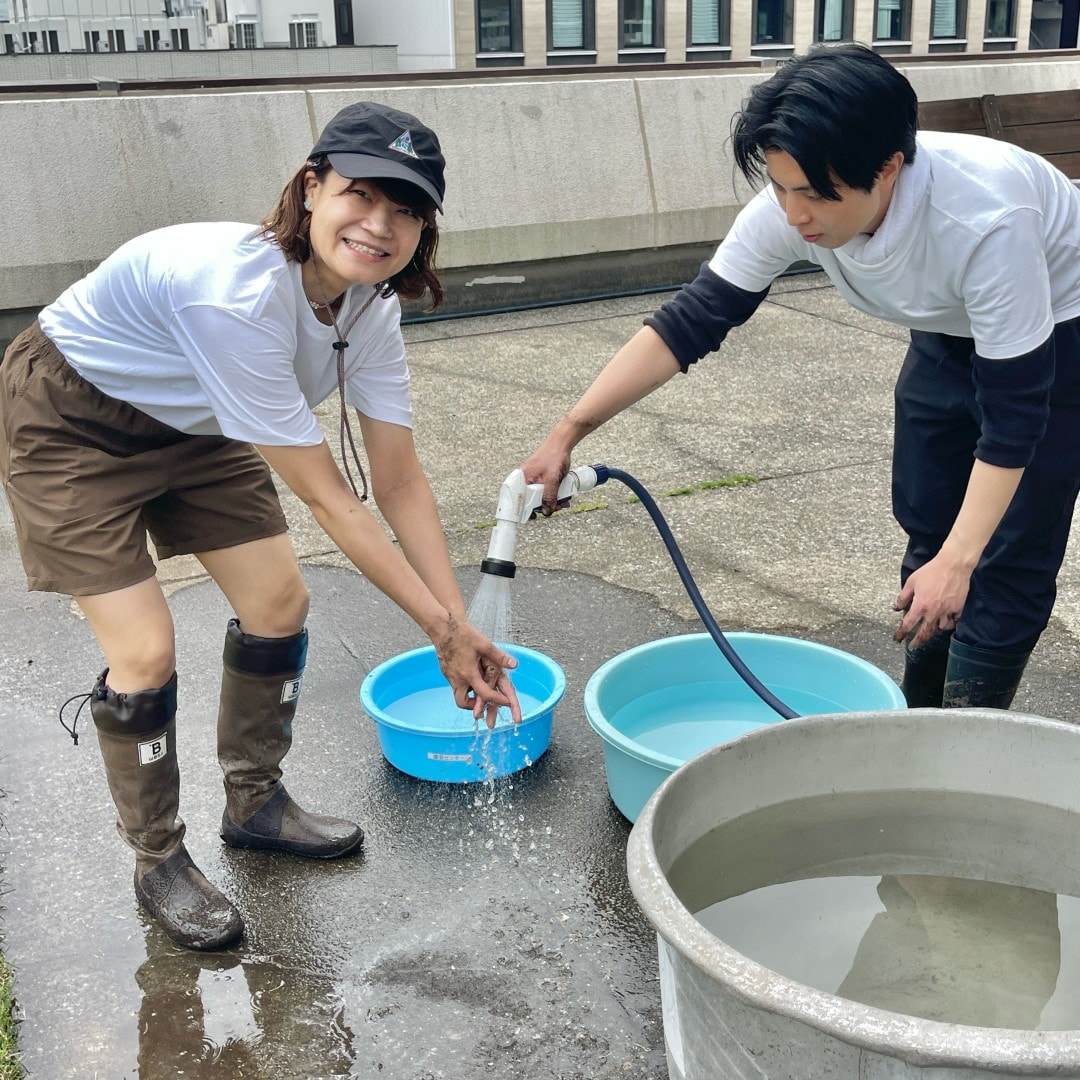【銀座】銀座で田植え体験