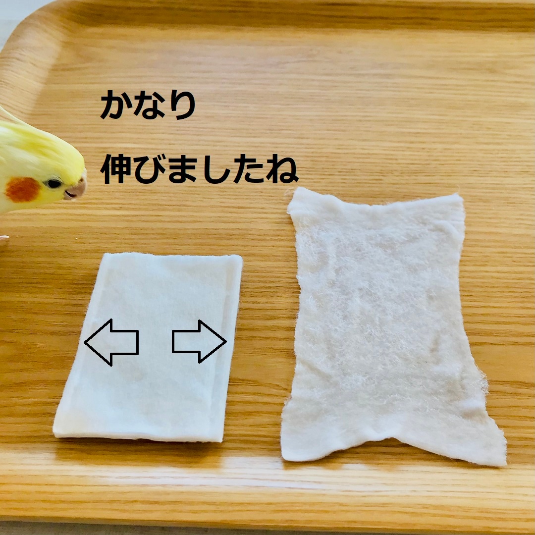 【静岡パルコ】コットンを伸ばす