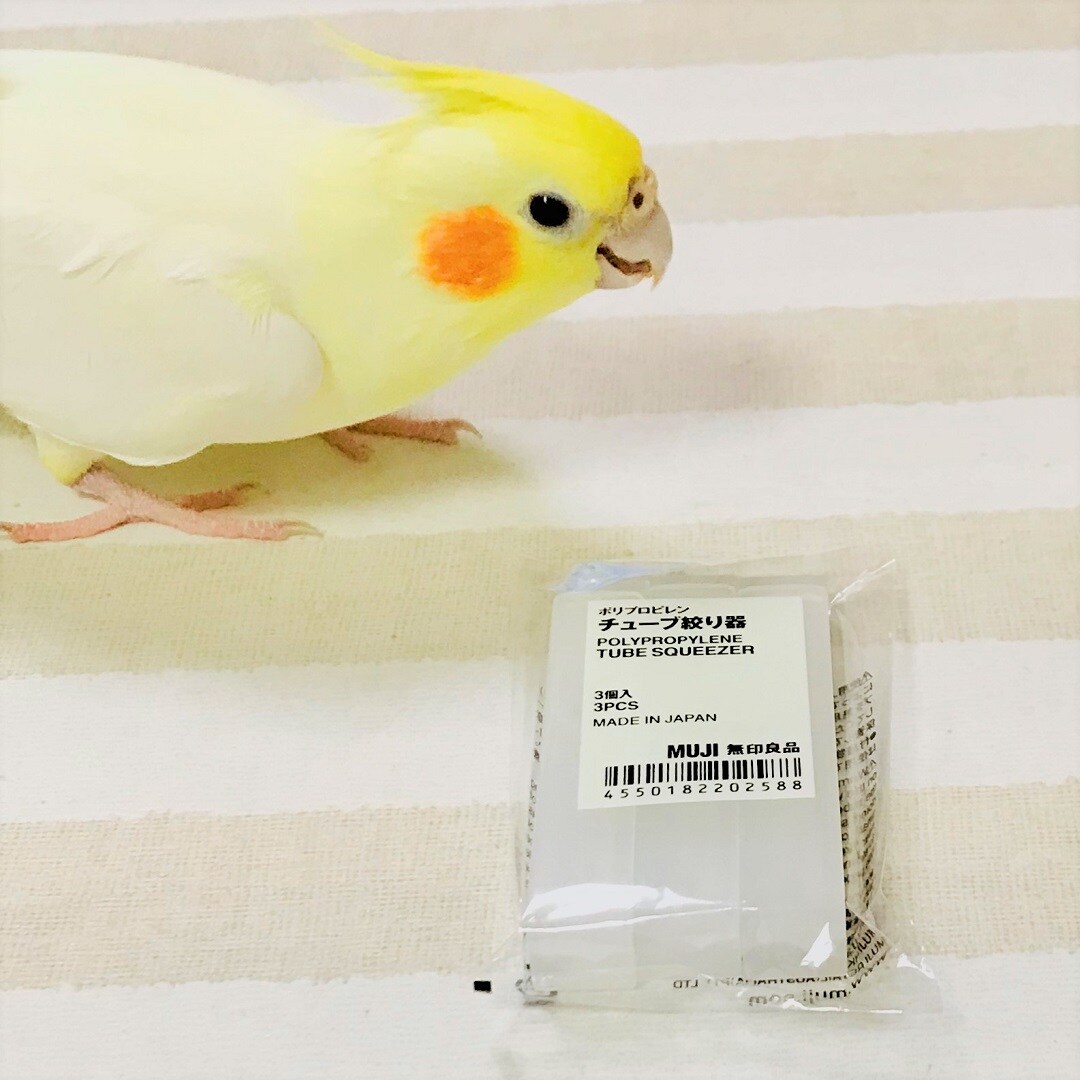 【静岡パルコ】チューブ絞り器とインコ