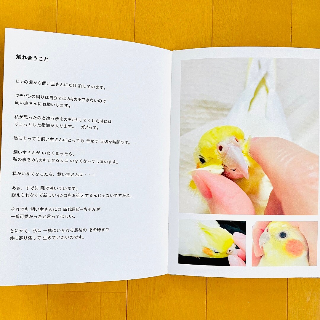 【静岡パルコ】私はオカメのインコです。