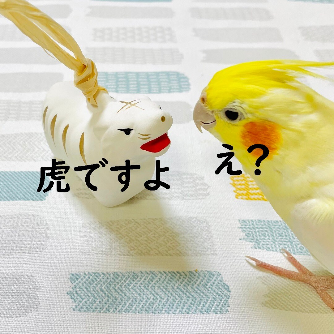 【静岡パルコ】虎ですよ、と言われるピーちゃん