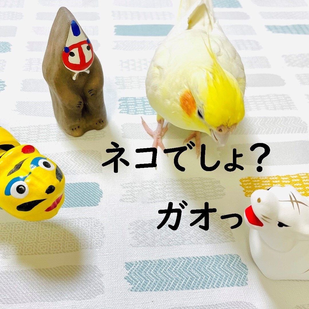 【静岡パルコ】ネコでしょ？と聞くピーちゃん