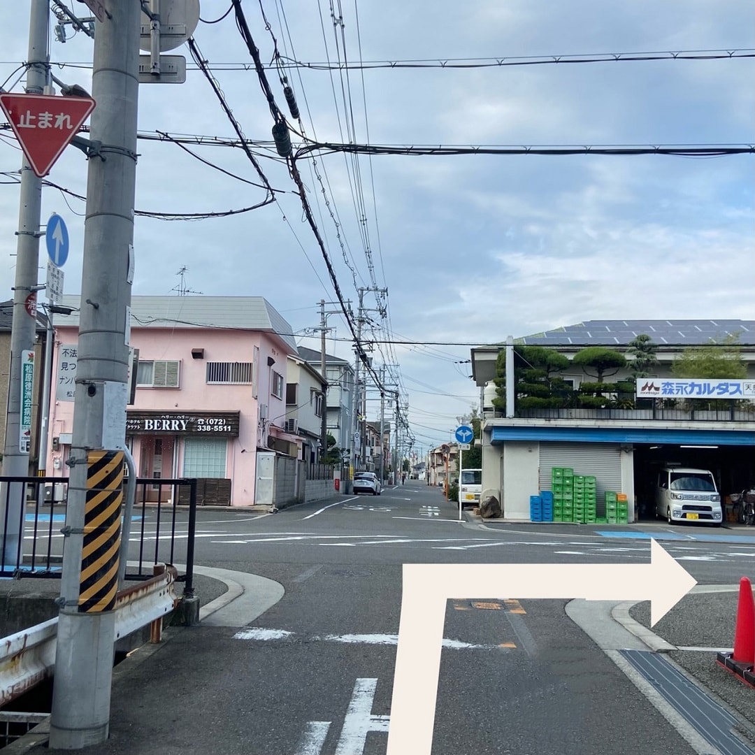 大通りの写真