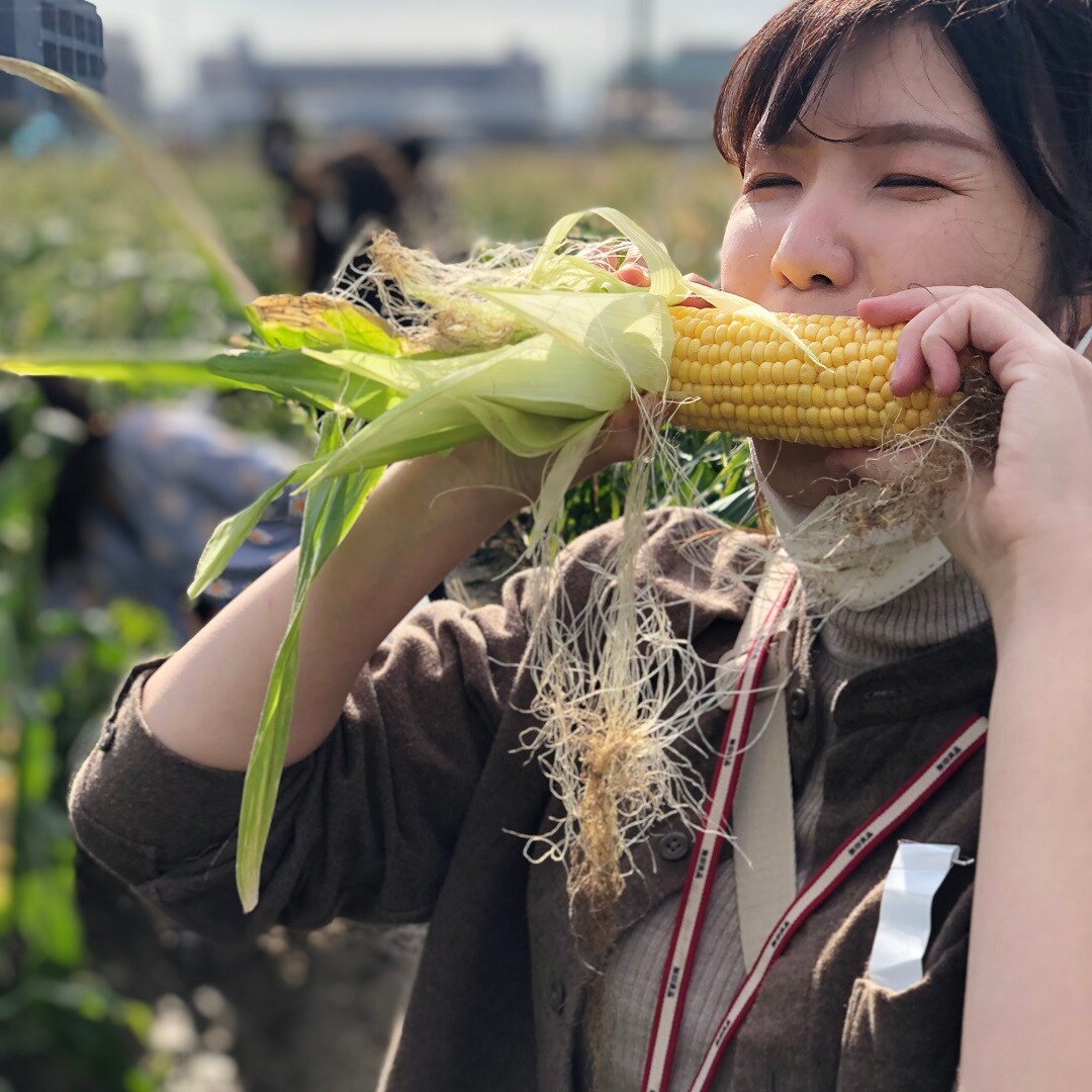 とうもろこしを食べる女性スタッフ