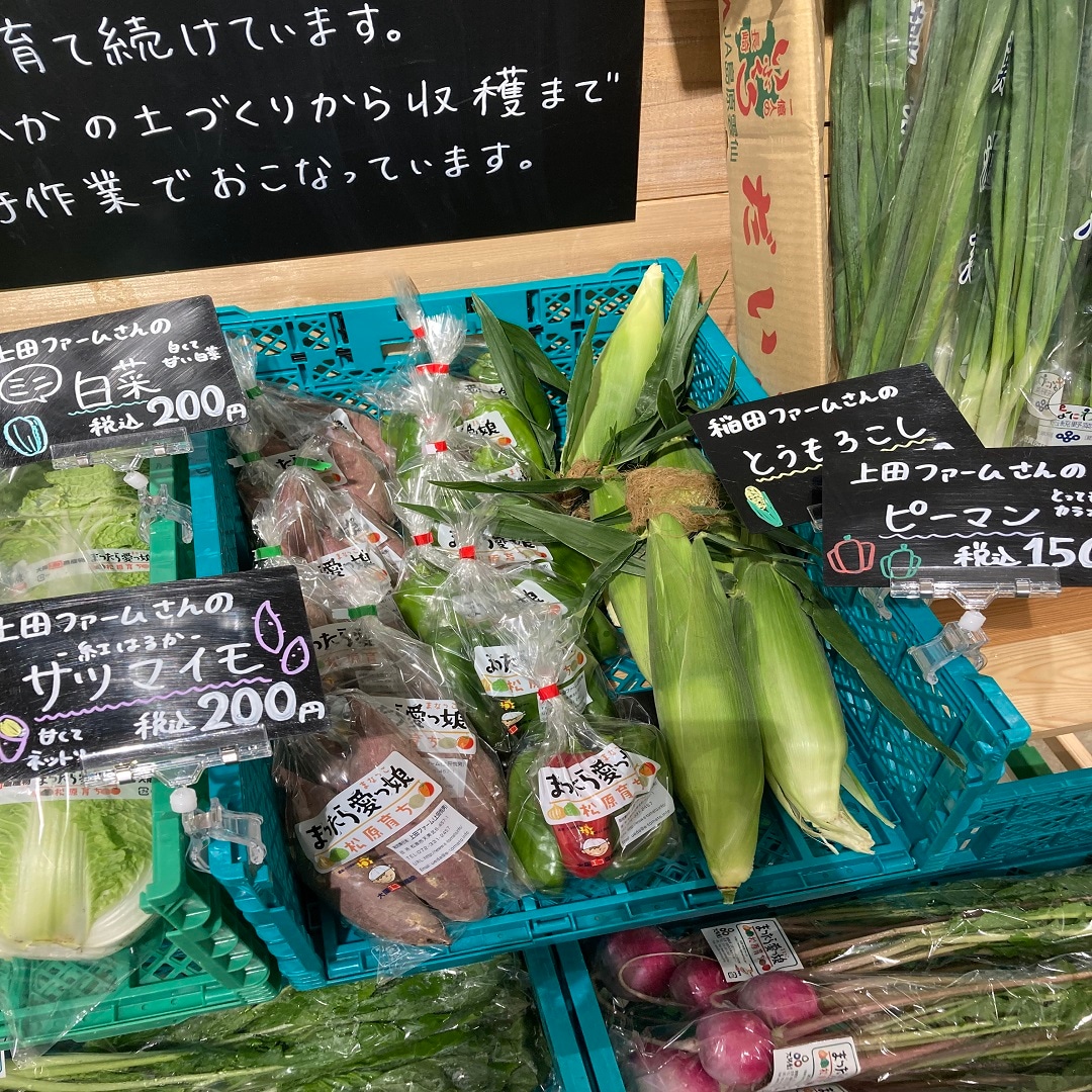野菜の写真
