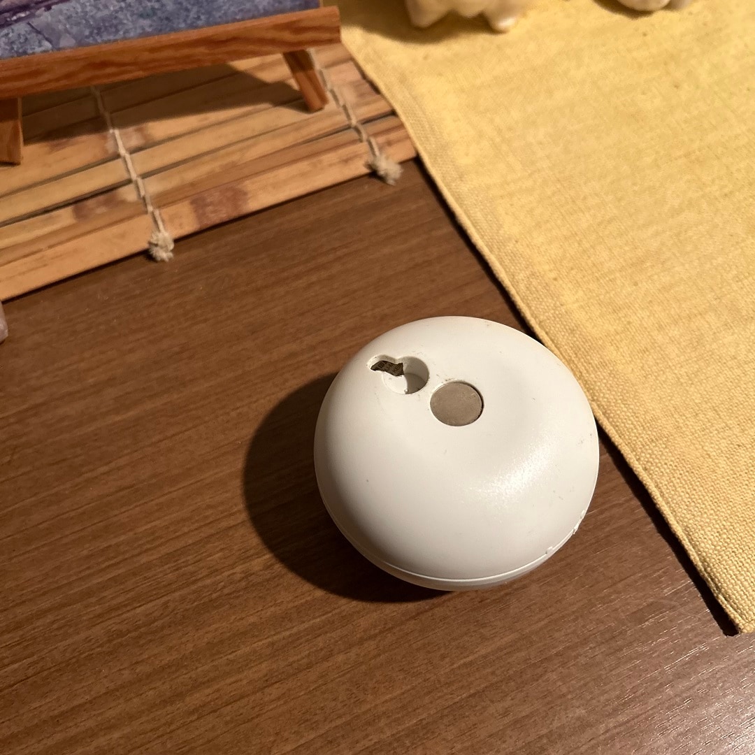裏はフックとマグネット対応