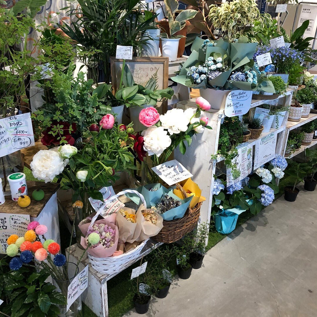 【アスモ高山】第34回つながる市開催いたしました。