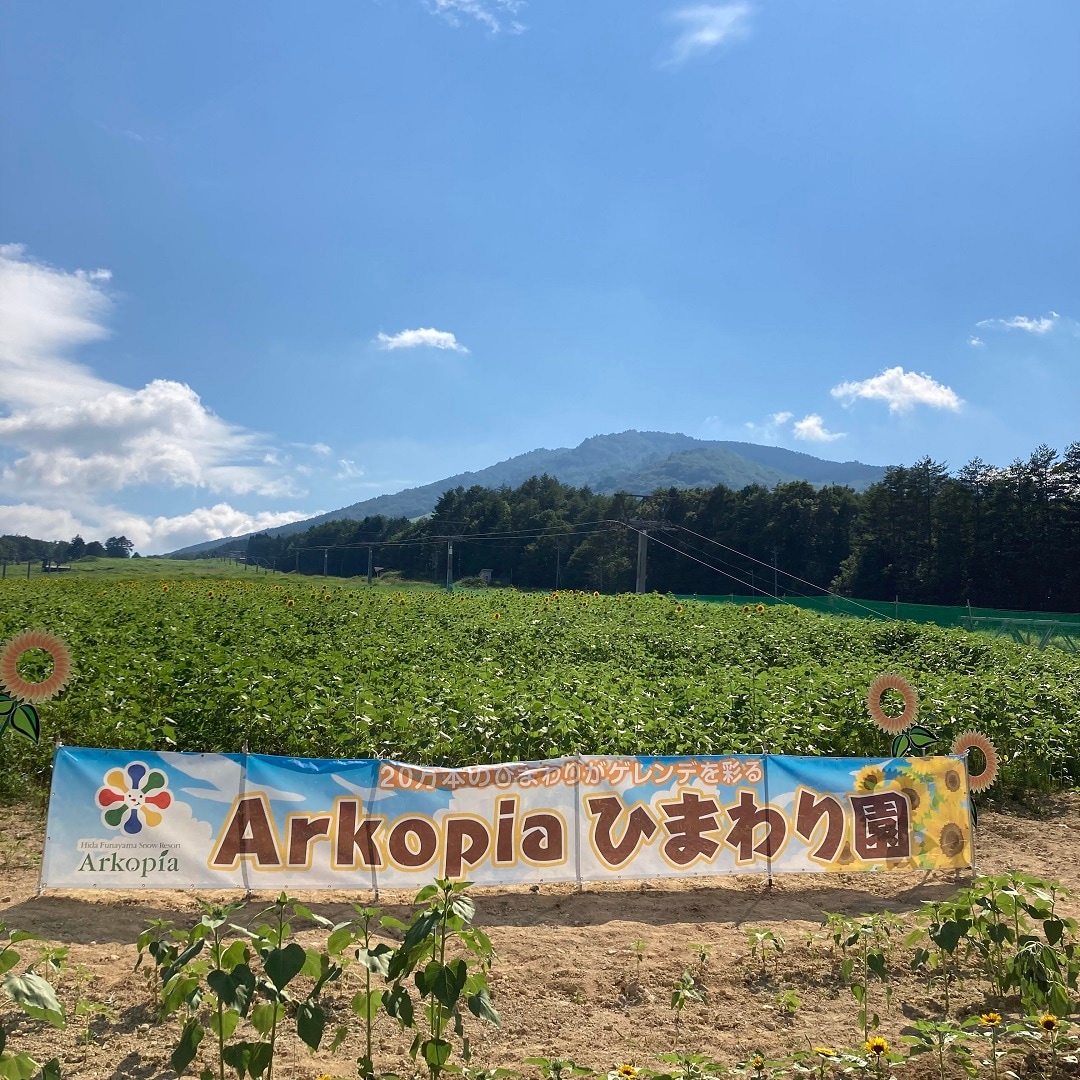 アルコピアひまわり展に出店してきました。