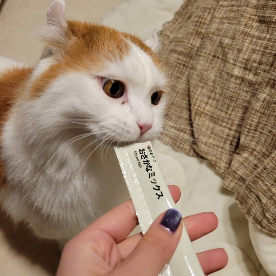 おさかなミックスおいしいね