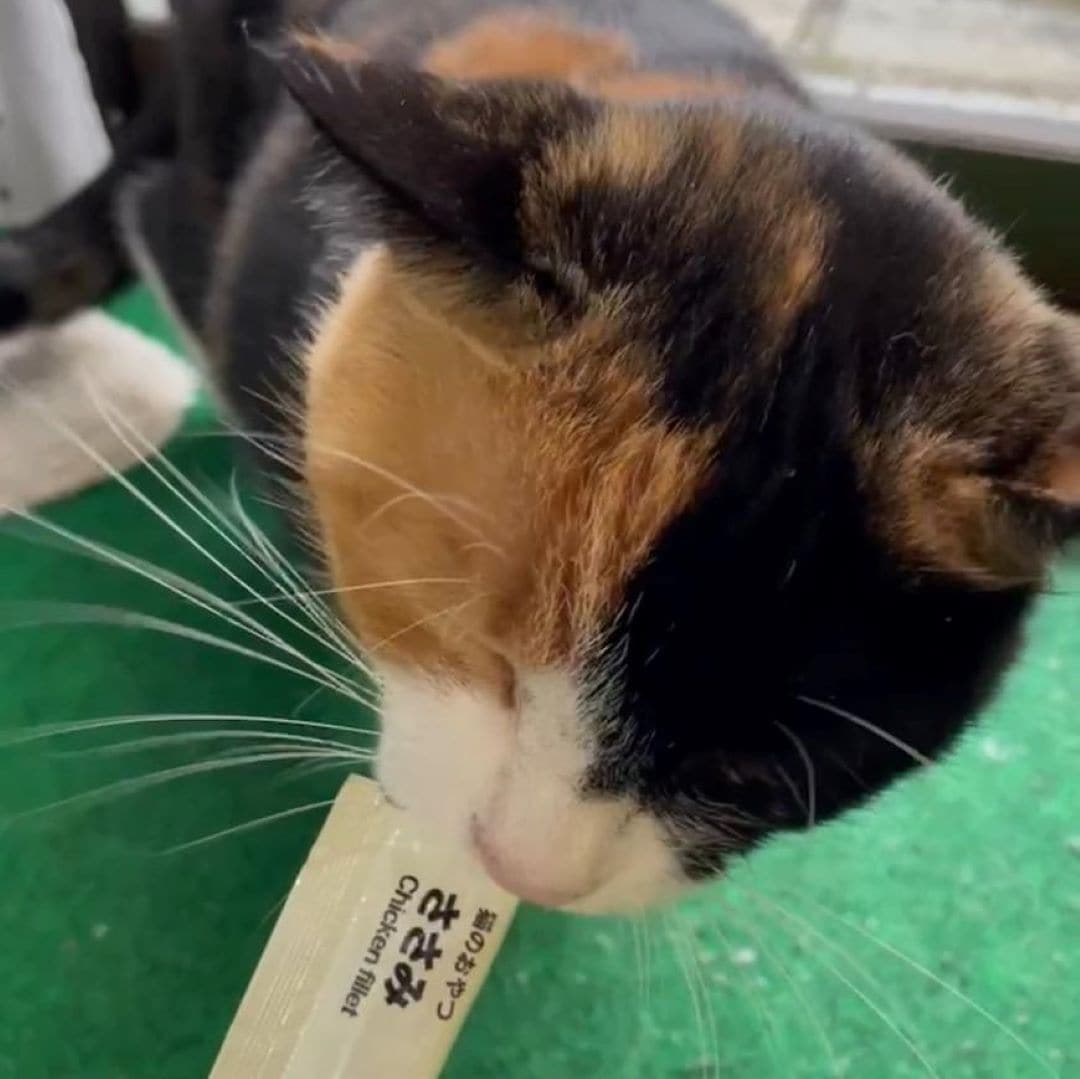 おいしくいただいてます
