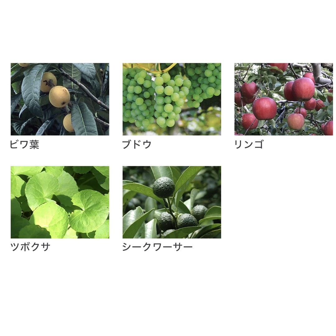 成分